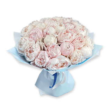 Bouquet de pivoines blanches et roses avec livraison à Dublin bureau à  domicile ID:Y0239 - ireland.yes.ua